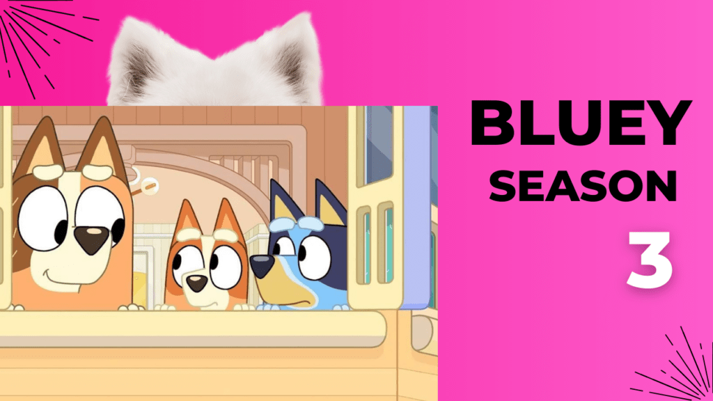 Bluey Season 3